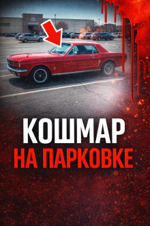 постер аудиокниги 34 года поиска
