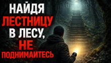 постер аудиокниги Найдя где-то в лесу лестницу, ведущую в никуда, не поднимайтесь