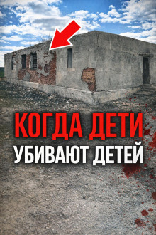 постер аудиокниги Школьная система смерти